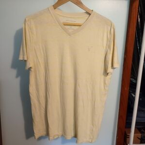 American Eagle V Neck